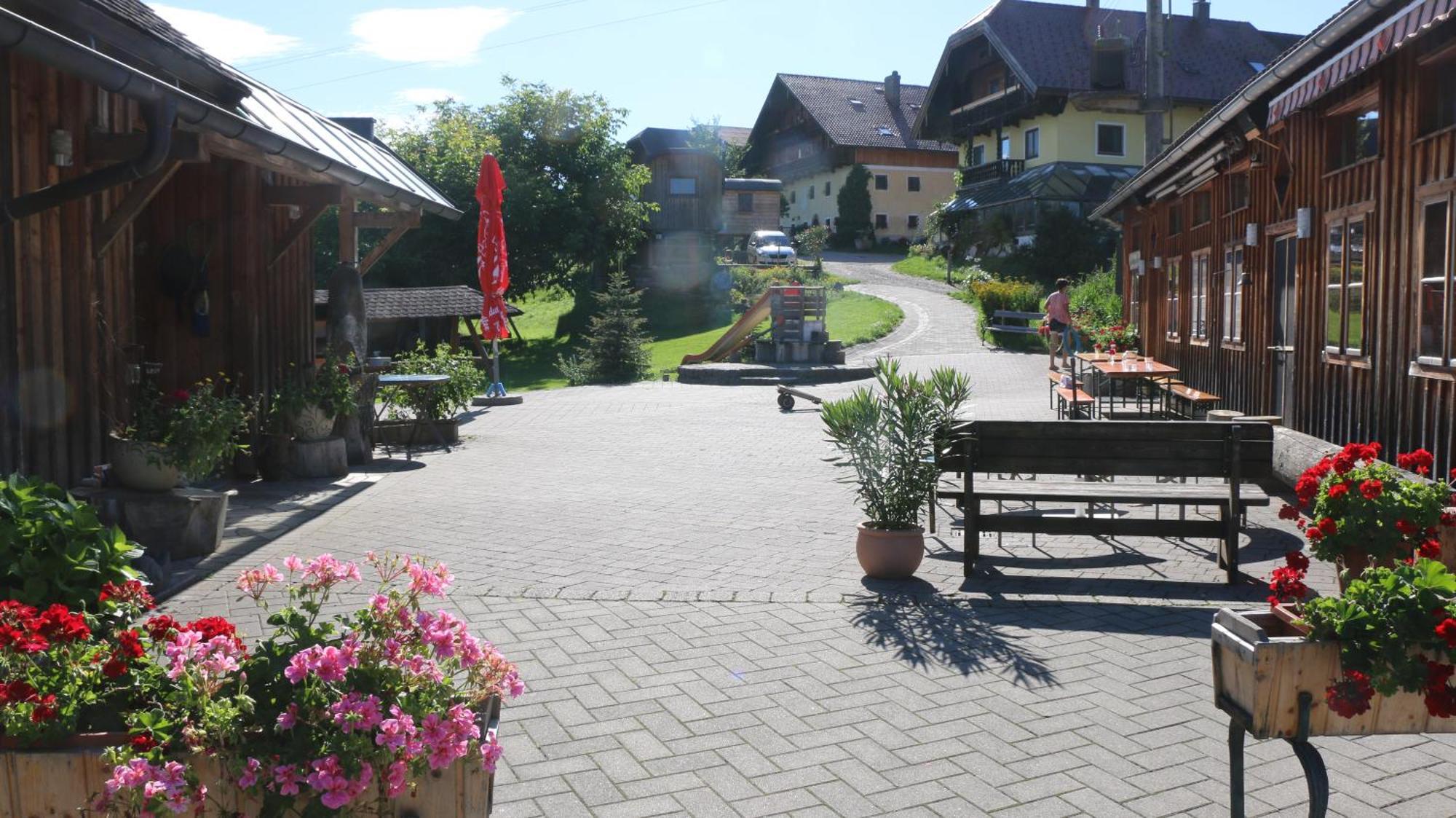 Bio Archehof Zachhiesen Lejlighed Seekirchen am Wallersee Eksteriør billede