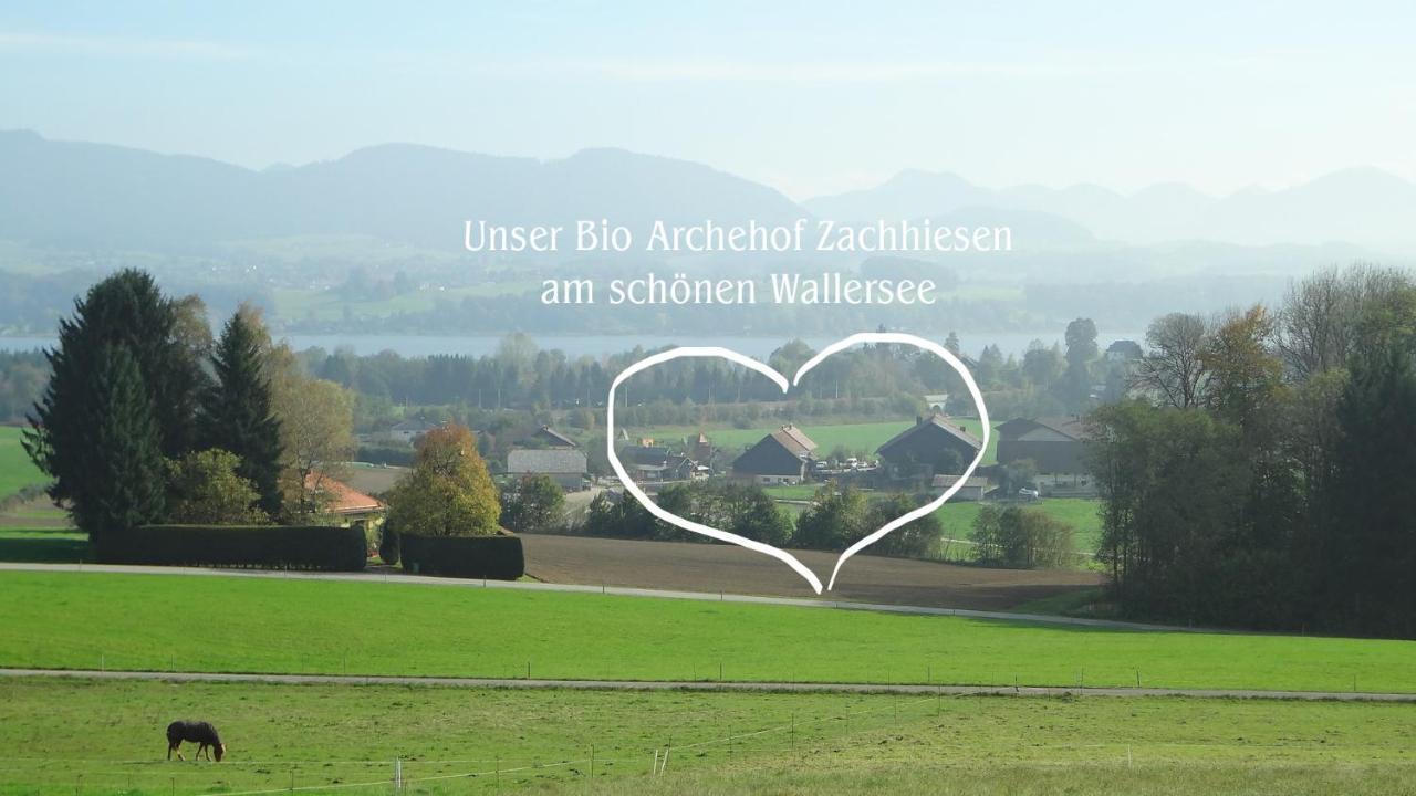 Bio Archehof Zachhiesen Lejlighed Seekirchen am Wallersee Eksteriør billede