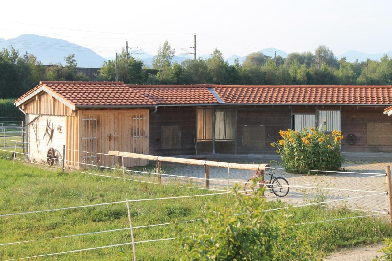 Bio Archehof Zachhiesen Lejlighed Seekirchen am Wallersee Eksteriør billede