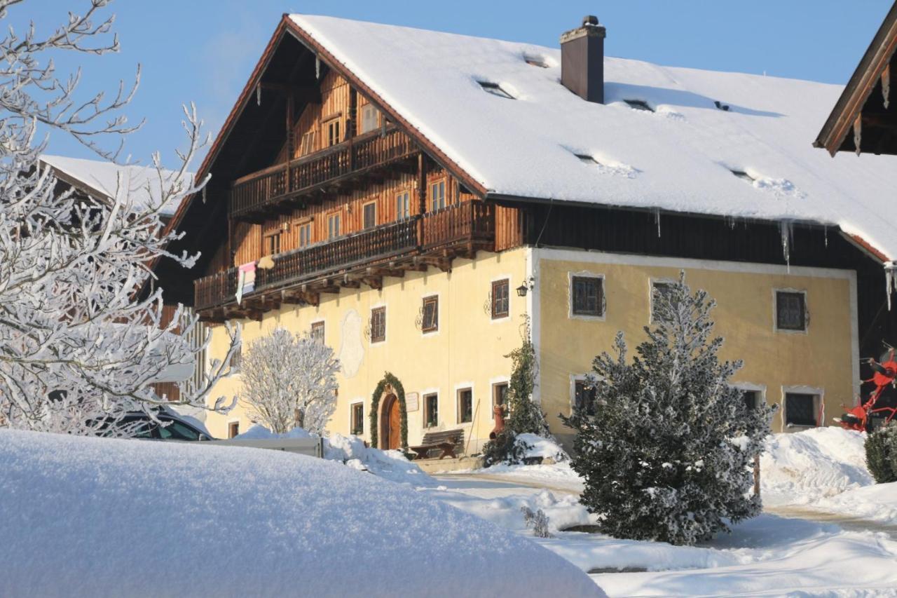 Bio Archehof Zachhiesen Lejlighed Seekirchen am Wallersee Eksteriør billede